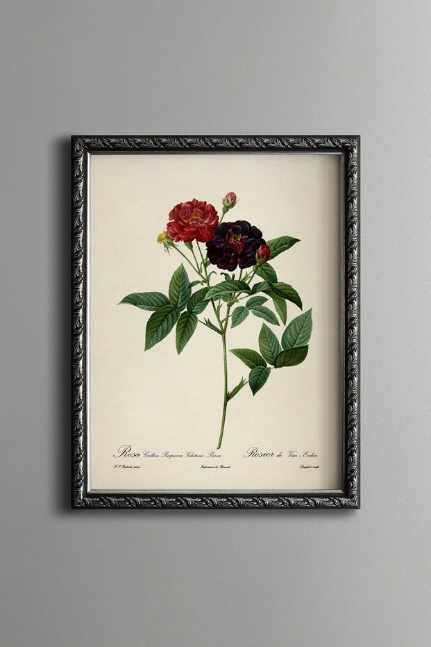Dark Red Roses - Vintage Patterned Painting - Slim Frame