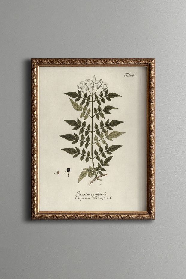 Yasemin - Vintage Patterned Painting - Slim Model