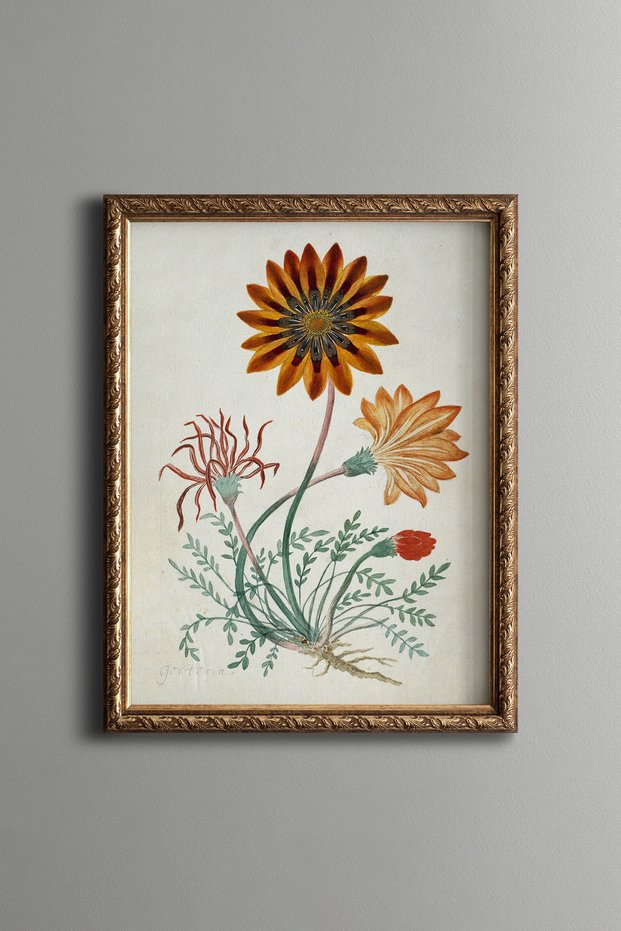 Orange Wildflower - Vintage Patterned Painting - Slim Frame