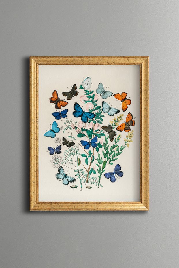 Blue Butterflies and Flowers - Vintage Patterned Painting - Slim Frame