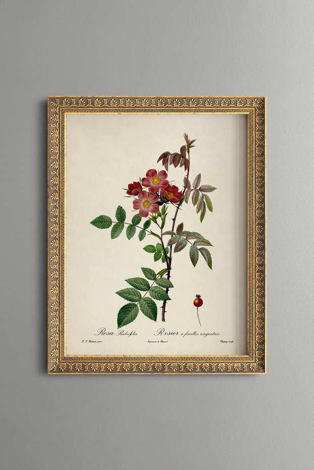 Red Wildflowers - Vintage Patterned Painting - Slim Frame