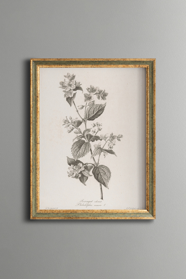 Bouquet of Flowers - Vintage Patterned Painting - Delicate Design
