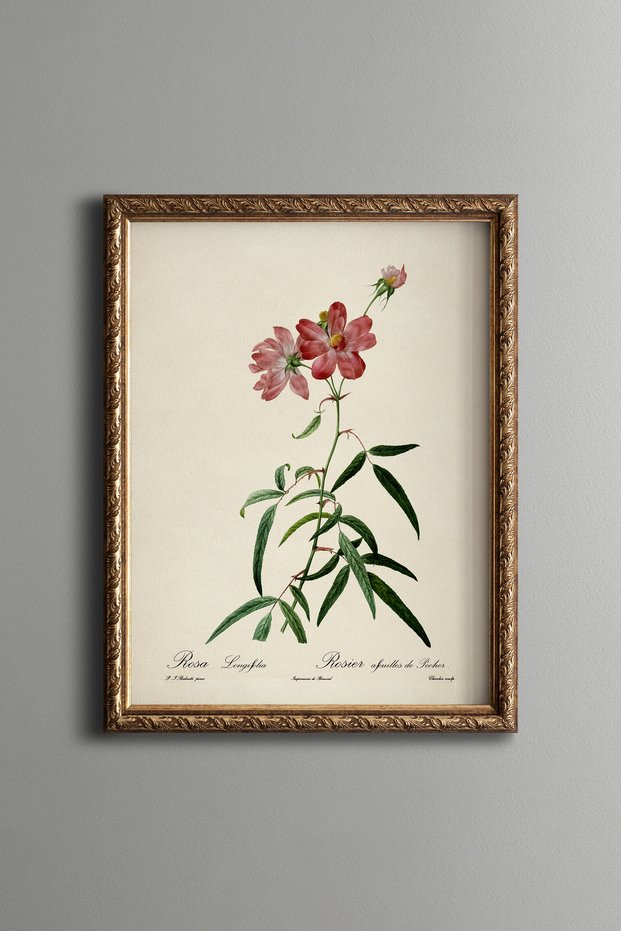 Pink Flower Branch - Vintage Patterned Painting - Slim Model