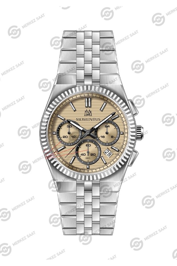 Men's Time Masters TM265S-07SS