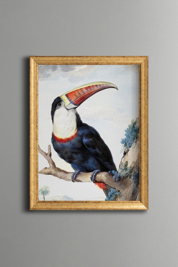 Red-Billed Toucan - Vintage Patterned Painting - Slim Frame