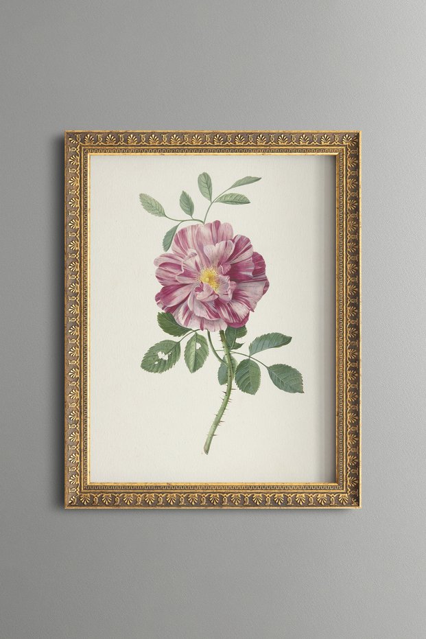 Pink Rose - Vintage Patterned Painting - Slim Model