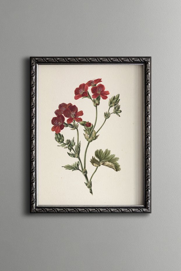 Carnation Bouquet - Vintage Patterned Painting - Slim Model