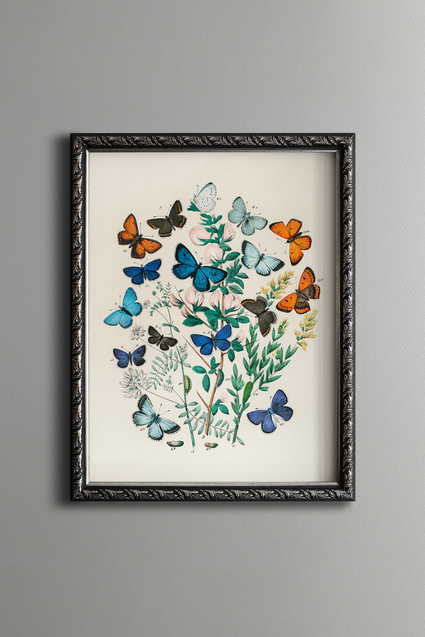 Blue Butterflies and Flowers - Vintage Patterned Painting - Slim Frame