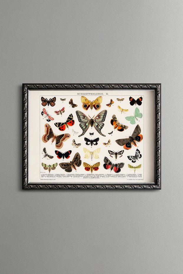 Butterflies and Moths - Vintage Patterned Painting - Slim Model