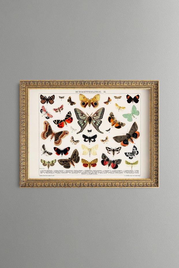 Butterflies and Moths - Vintage Patterned Painting - Slim Model