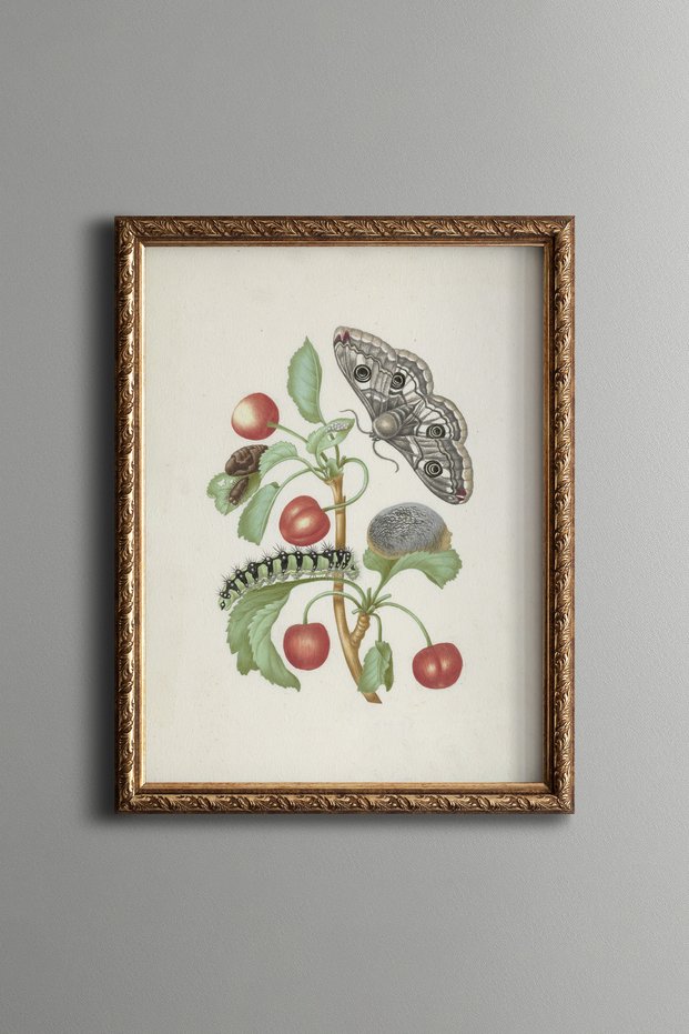 Cherries and Butterflies - Vintage Patterned Painting - Slim Model