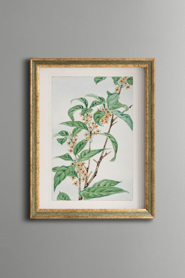 Floral Magnolia Branch - Vintage Patterned Painting - Slim Model