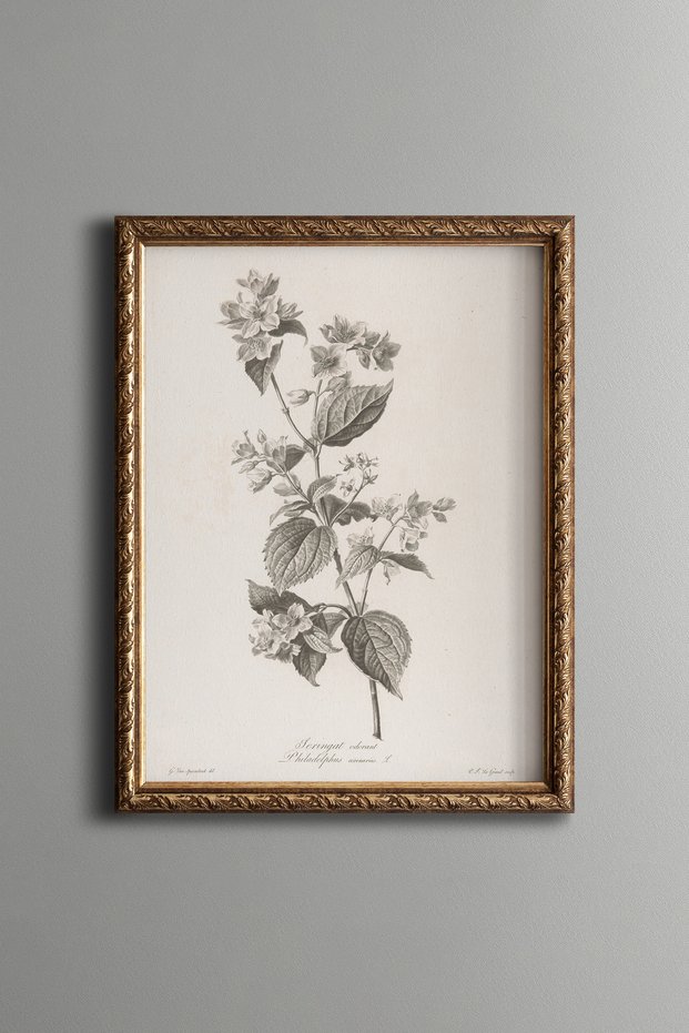 Bouquet of Flowers - Vintage Patterned Painting - Delicate Design