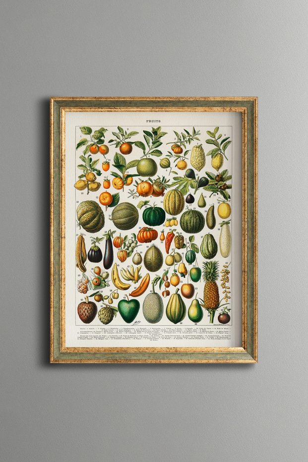 Fruits and Vegetables - Vintage Patterned Painting - Slim Model