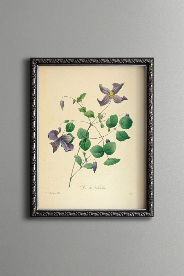 Ak Asma - Vintage Patterned Painting - Slim Model