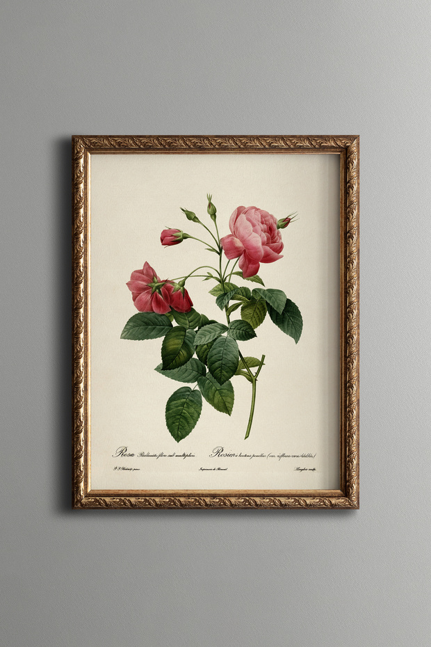 Pink Rose Branch - Vintage Patterned Painting - Slim Model