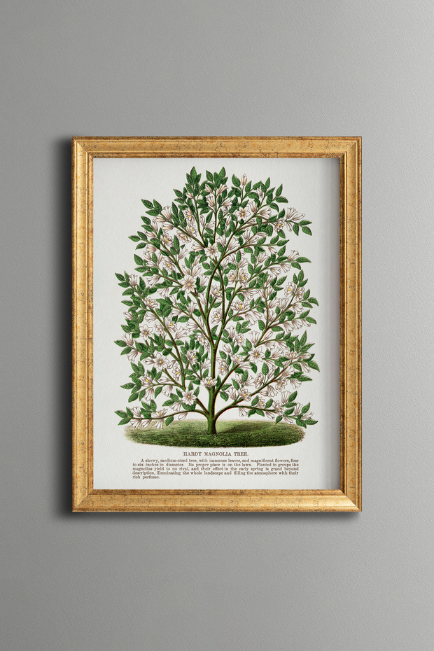 Magnolia Tree - Vintage Patterned Painting - Slim Model