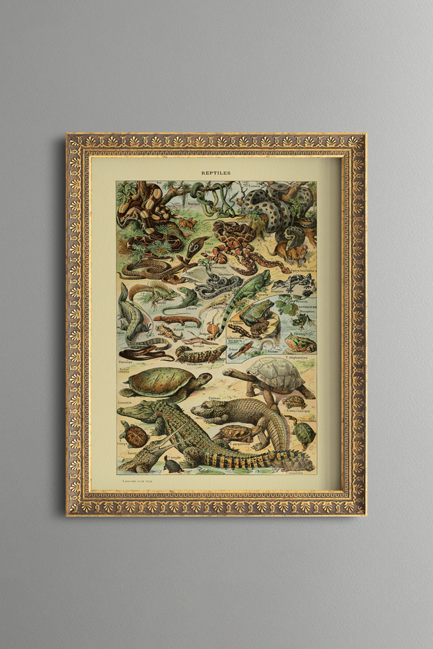 Reptiles - Vintage Patterned Painting - Slim Model