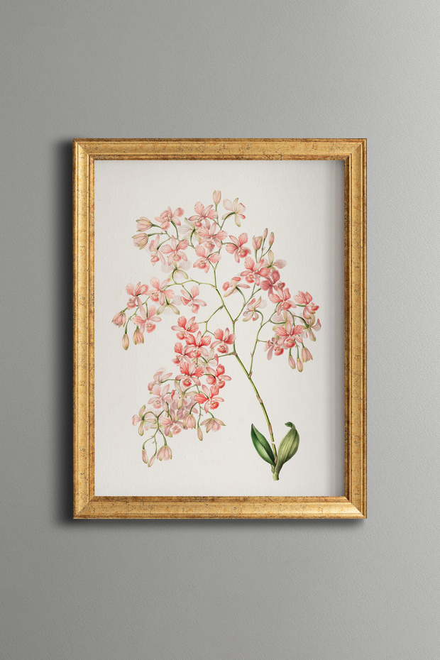 Pink Spring Flowers - Vintage Patterned Painting - Fine Model