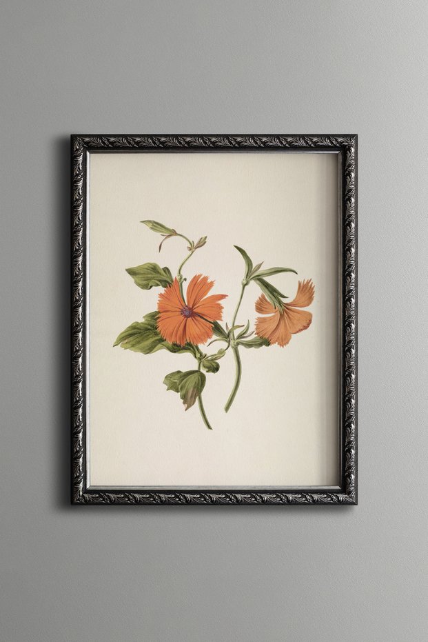 Orange Lilies - Vintage Patterned Painting - Slim Frame