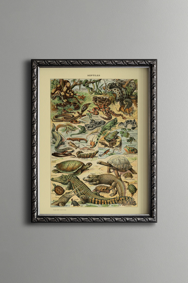 Reptiles - Vintage Patterned Painting - Slim Model