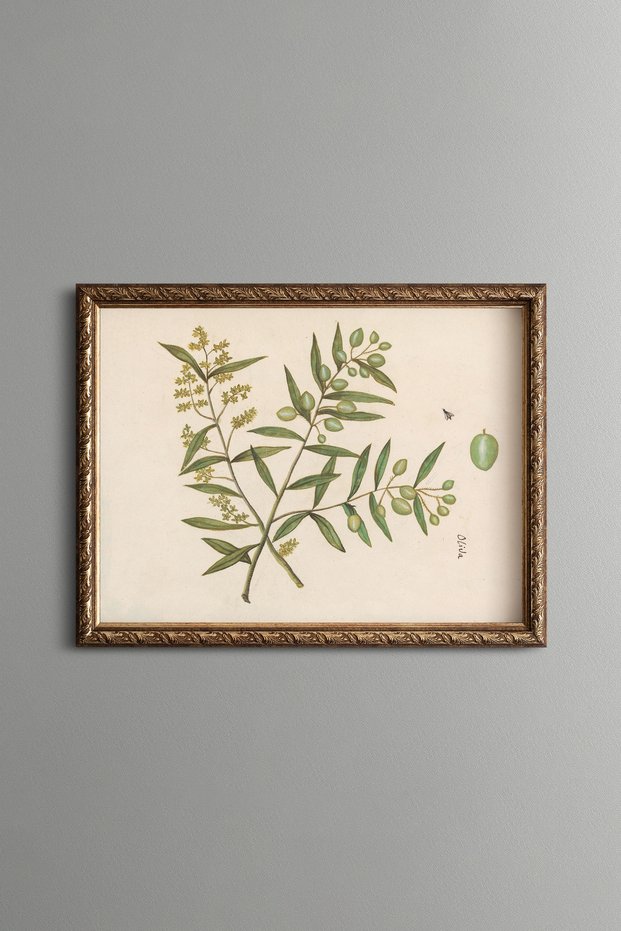Olive Branch - Vintage Patterned Painting - Slim Model