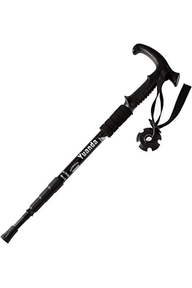 Hiking Stick