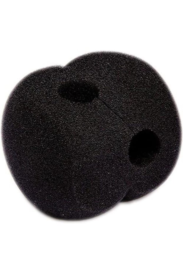 WS4 Pop Filter Wind Shield for NT4