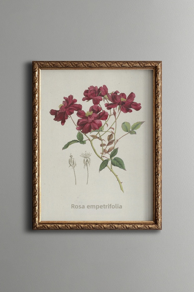 Red Flower Bouquet - Vintage Patterned Painting - Slim Model