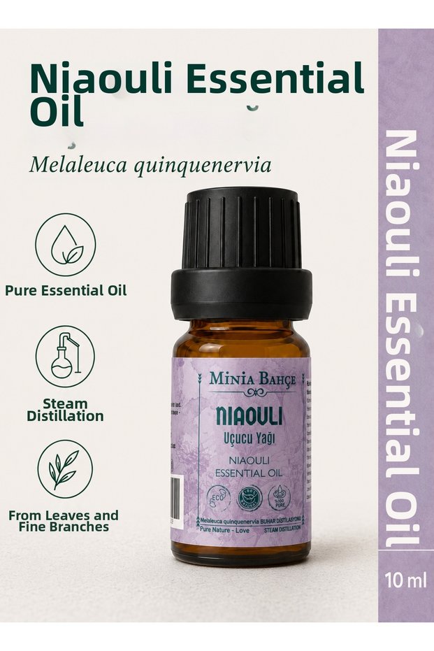 Niaouli essential oil – 10 ml | pure and unadulterated herbal essential oil