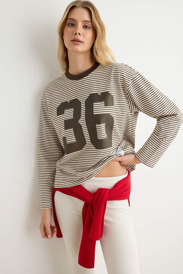 Kahverengi Çizgili Bisiklet Yaka Regular/Normal Kalıp Örme T-Shirt TWOAW27TS00144