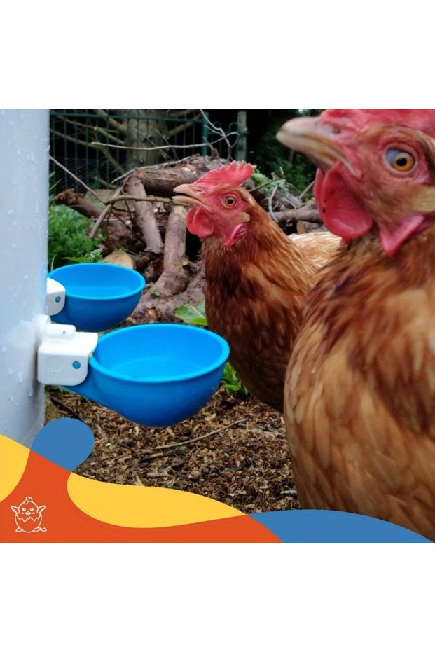 10pcs Automatic Chicken Drinker Bowl Duck Drinking Cup Chicken Feeder Plastic Poultry Bowls and Drin