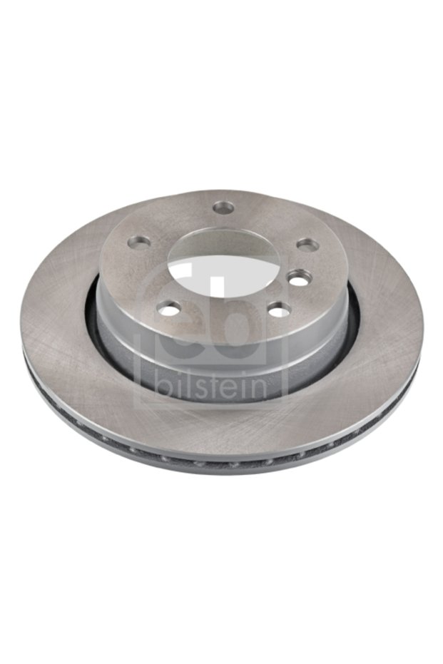 Brake disc 12324