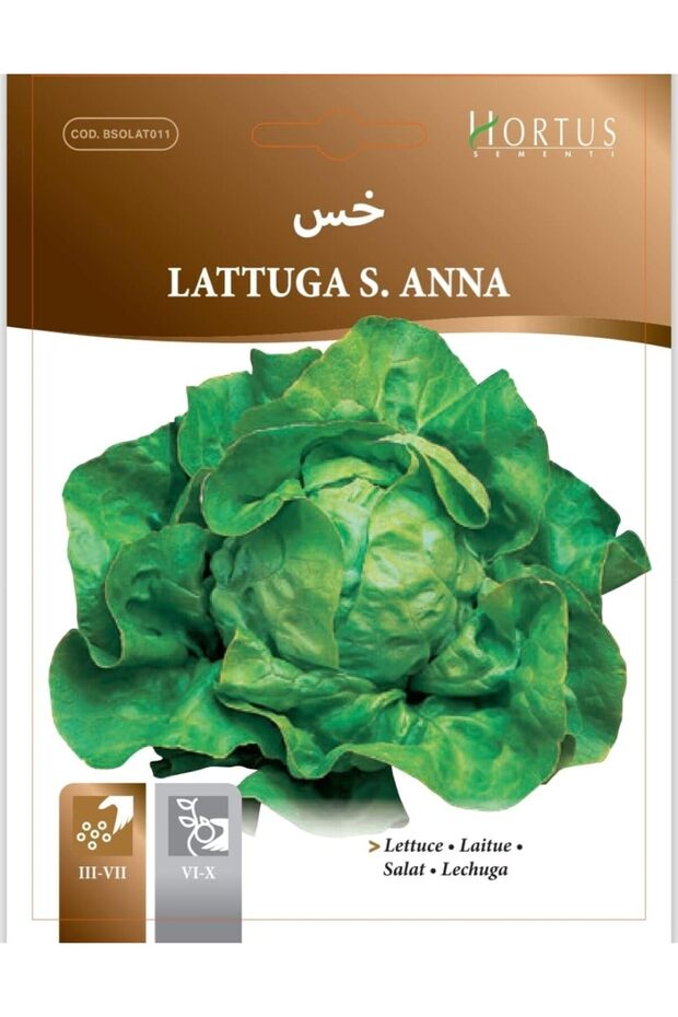بذور الخس