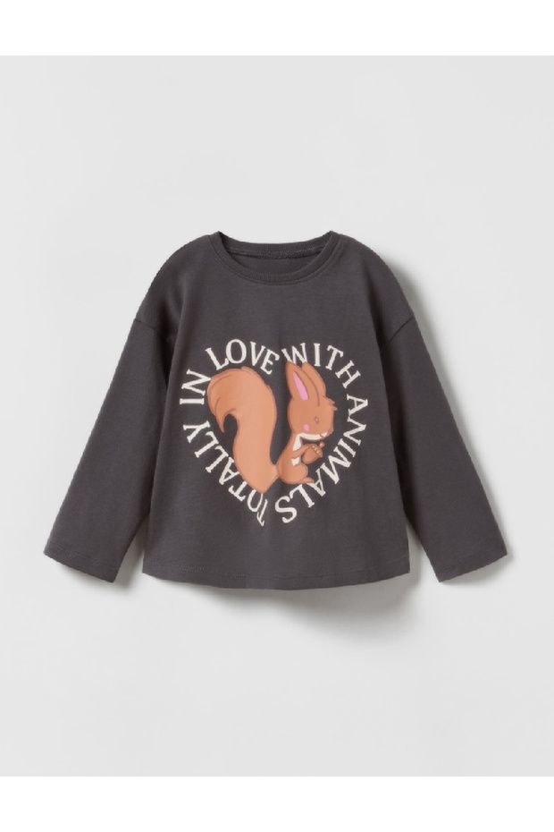 Bluza, Gri inchis