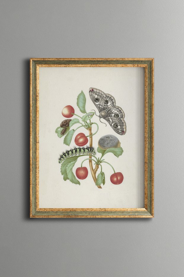 Cherries and Butterflies - Vintage Patterned Painting - Slim Model