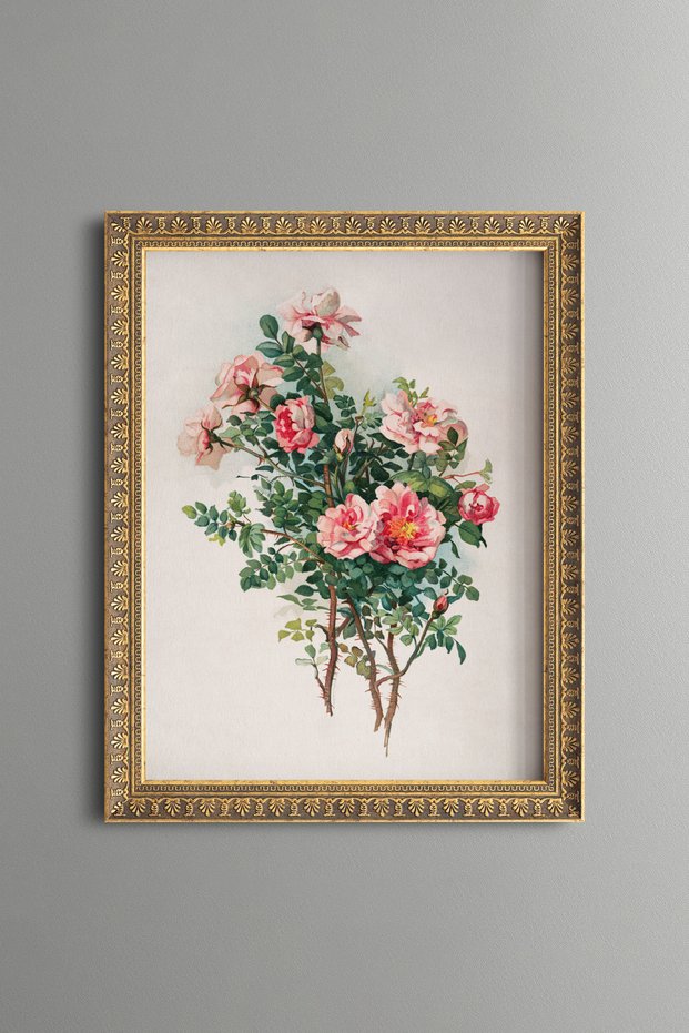 Roses - Vintage Patterned Painting - Fine Model