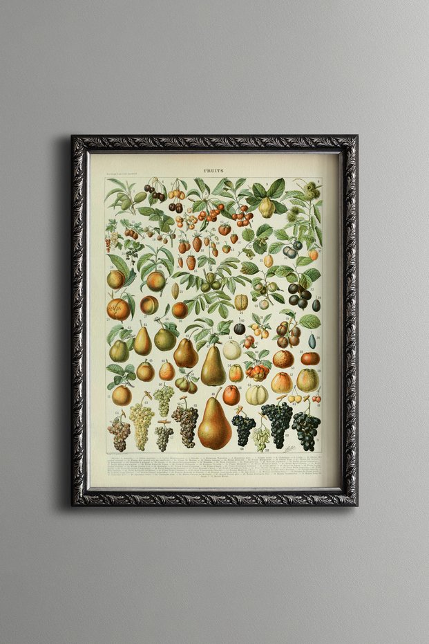 Fruits - Vintage Patterned Painting - Fine Model