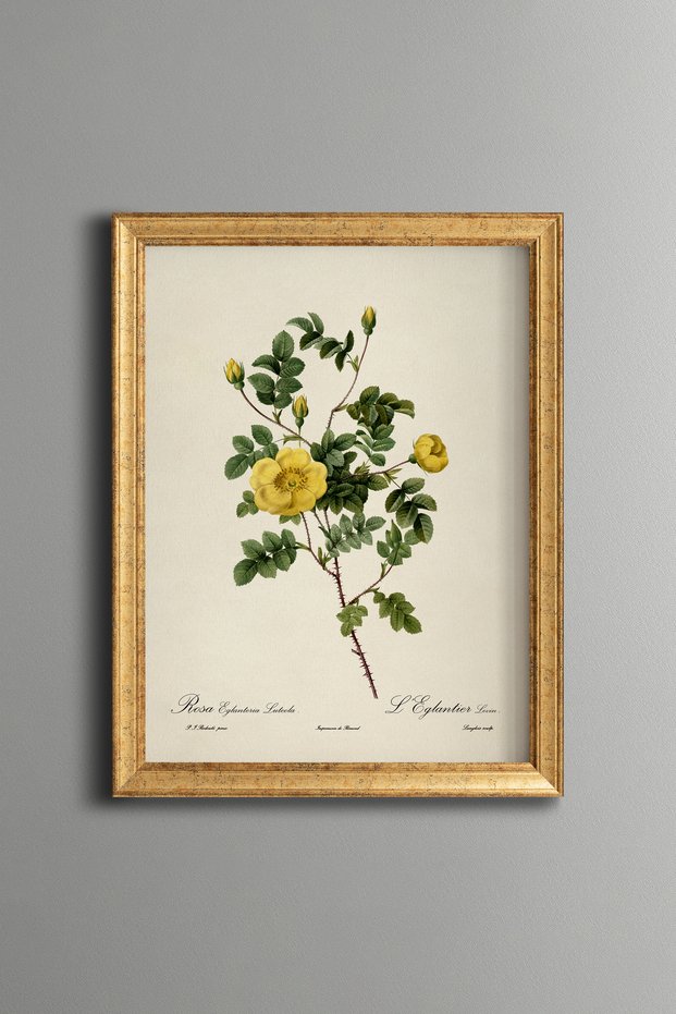 Yellow Flower Branches - Vintage Patterned Painting - Slim Model