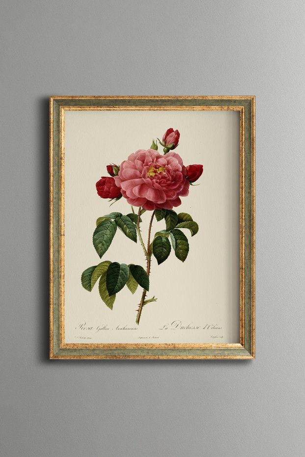 Dark Pink Rose - Vintage Patterned Painting - Slim Model