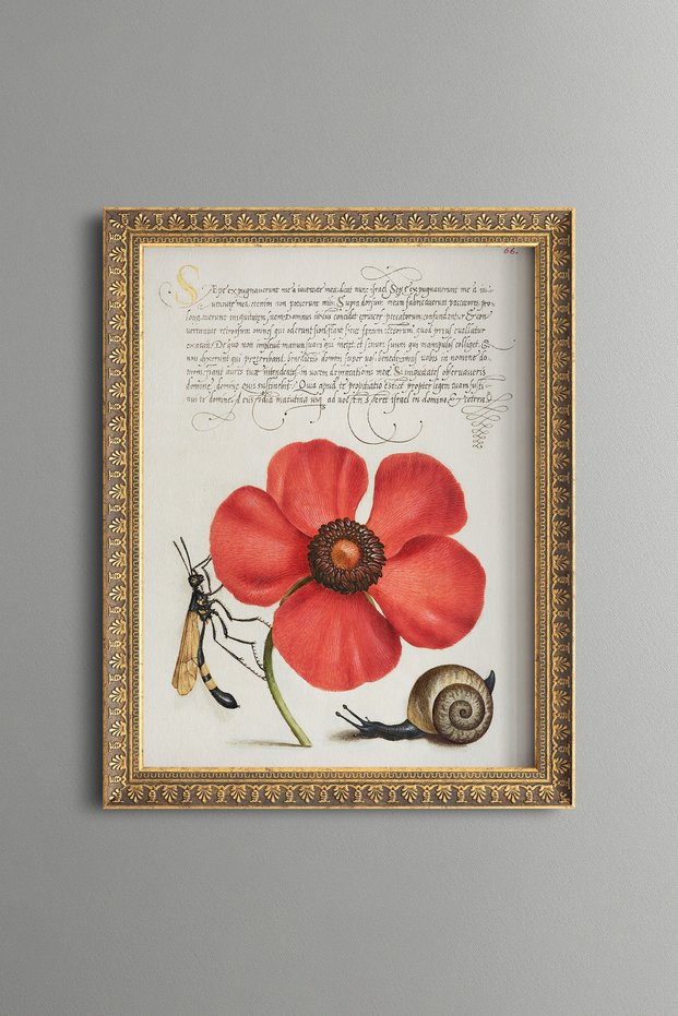 Poppy, Snail, and Fly - Vintage-Patterned Painting - Slim Design