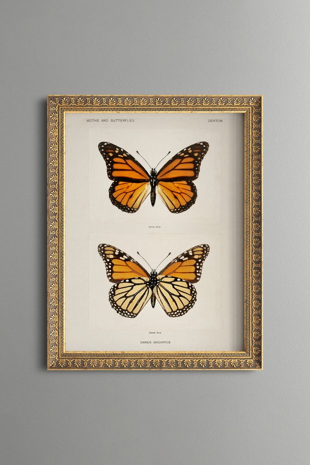 Two Orange Butterflies - Vintage Patterned Painting - Slim Model