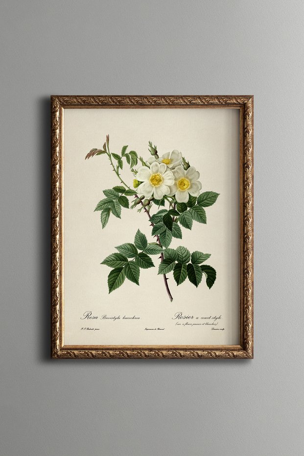 White Wildflowers - Vintage Patterned Painting - Slim Frame