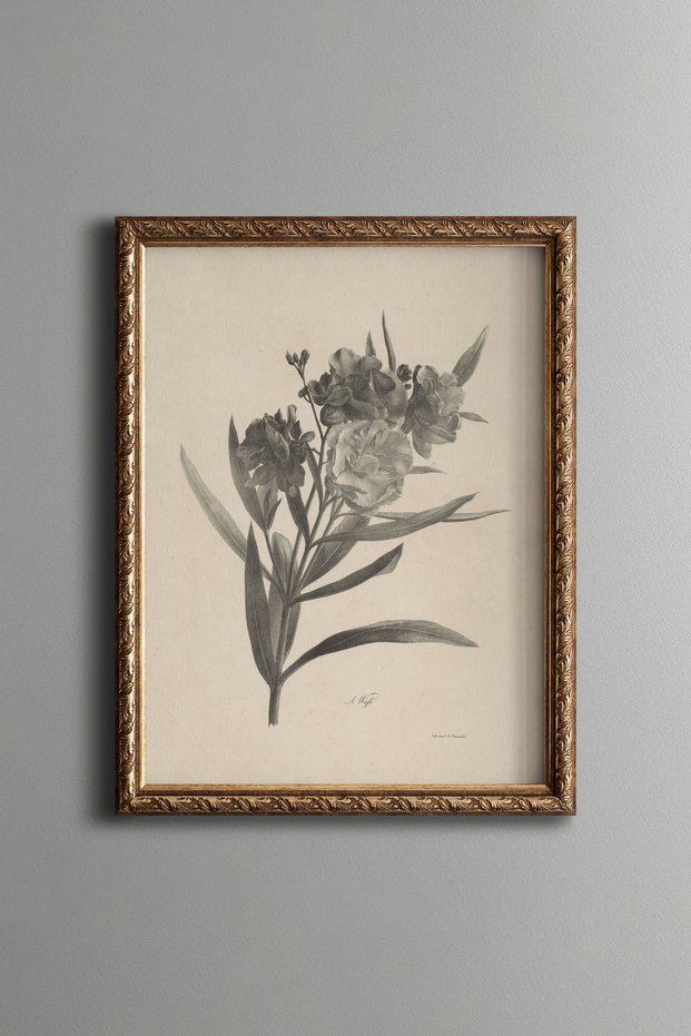 Black and White Roses - Vintage Patterned Painting - Slim Frame