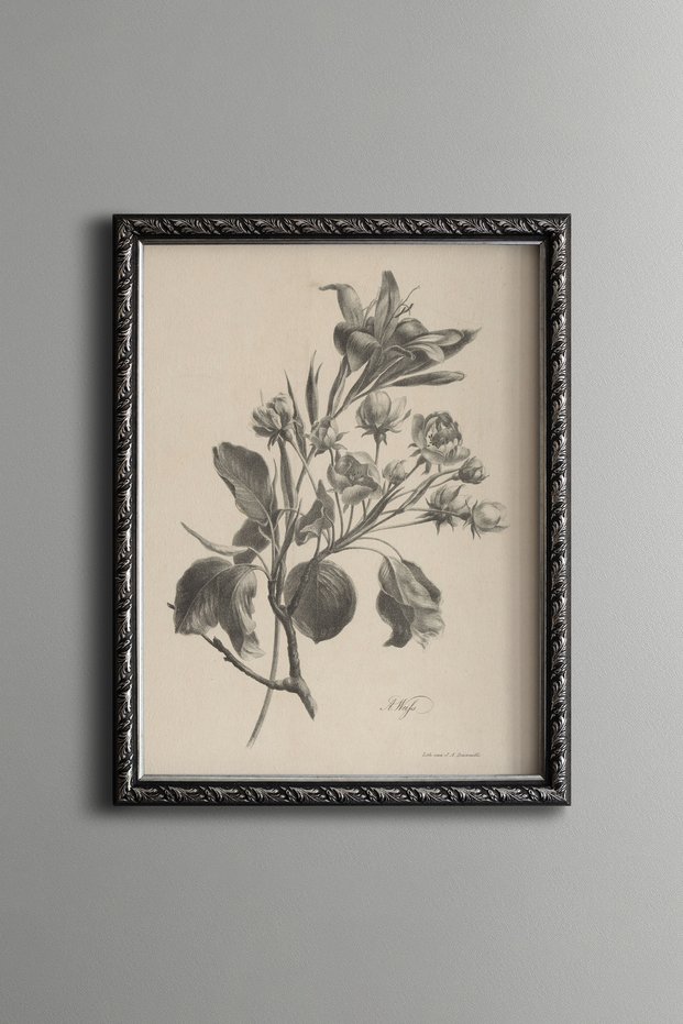Floral Branch Drawing - Vintage Patterned Painting - Slim Model