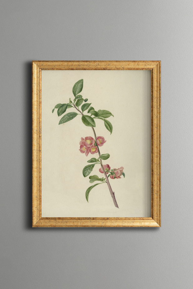 Pink Floral Branch - Vintage Patterned Painting - Slim Frame