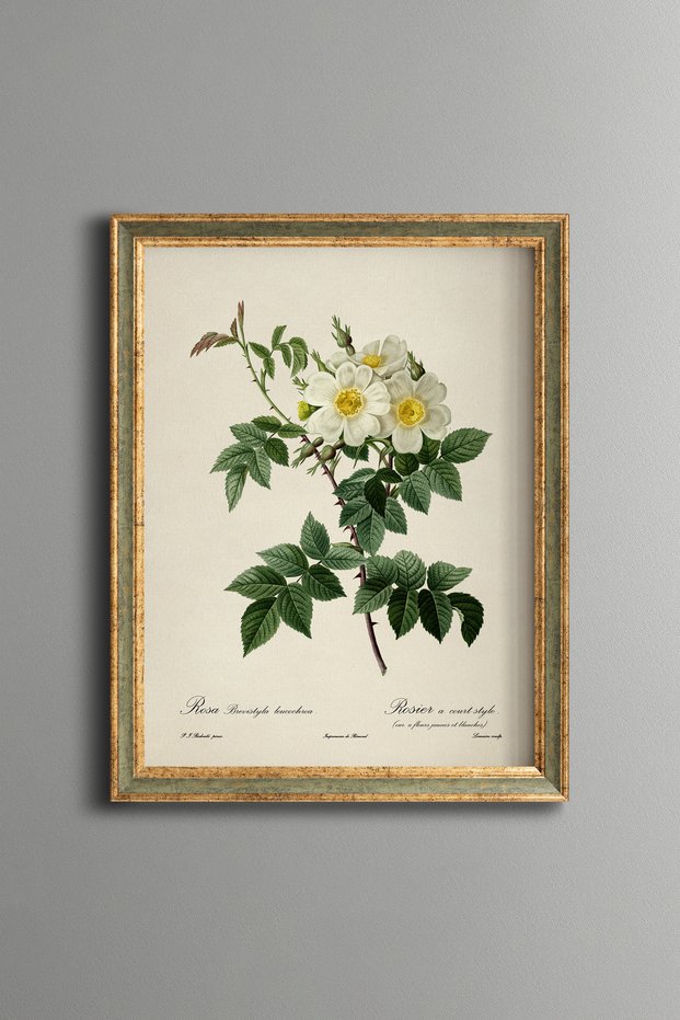 White Wildflowers - Vintage Patterned Painting - Slim Frame
