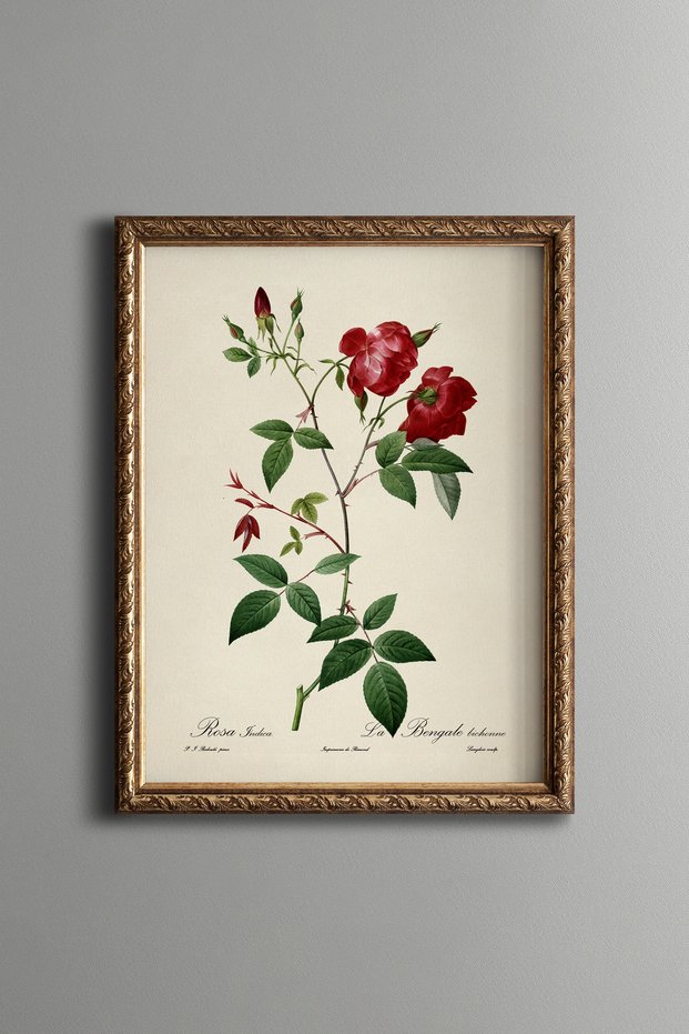 Red Rose Branches - Vintage Patterned Painting - Slim Frame