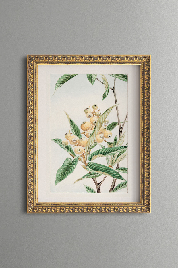 New World - Vintage Patterned Painting - Slim Model