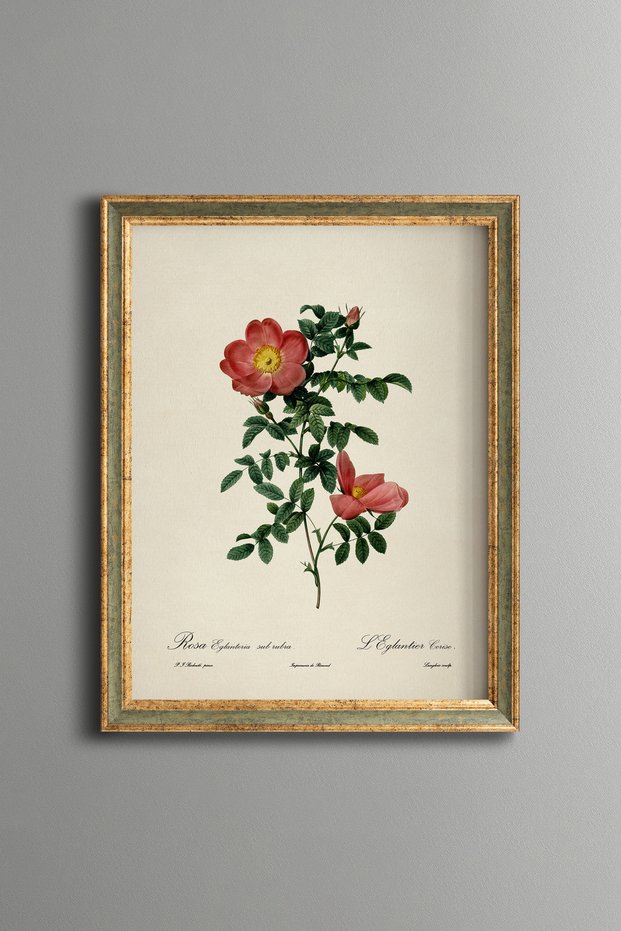 Red Wild Rose - Vintage Patterned Painting - Slim Frame